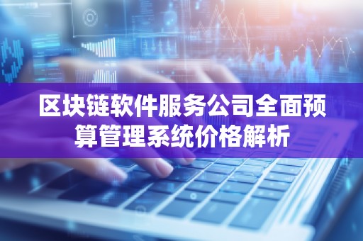 区块链软件服务公司全面预算管理系统价格解析