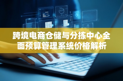 跨境电商仓储与分拣中心全面预算管理系统价格解析