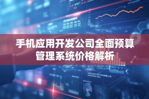 手机应用开发公司全面预算管理系统价格解析