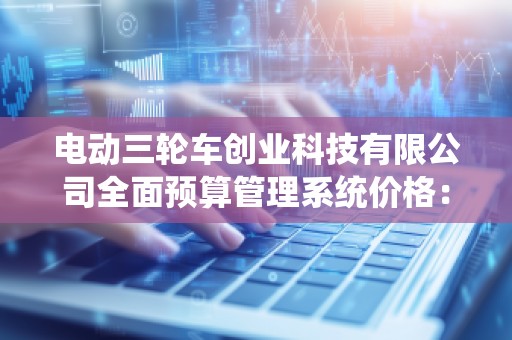 电动三轮车创业科技有限公司全面预算管理系统价格：高效管理助力企业腾飞