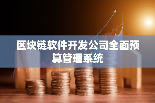 区块链软件开发公司全面预算管理系统
