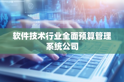软件技术行业全面预算管理系统公司