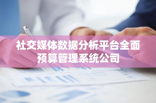 社交媒体数据分析平台全面预算管理系统公司