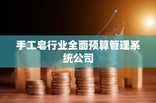 手工皂行业全面预算管理系统公司