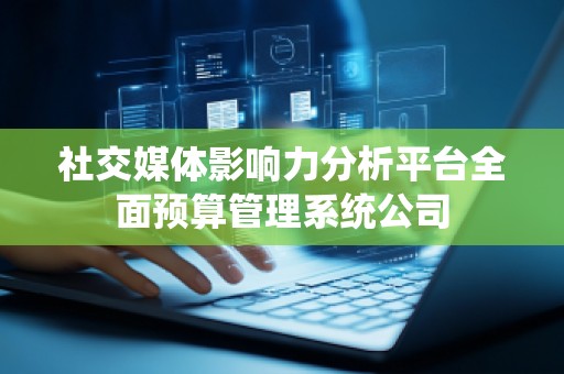 社交媒体影响力分析平台全面预算管理系统公司