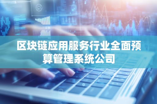 区块链应用服务行业全面预算管理系统公司