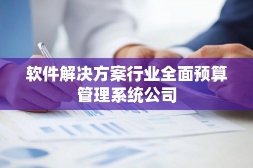 软件解决方案行业全面预算管理系统公司