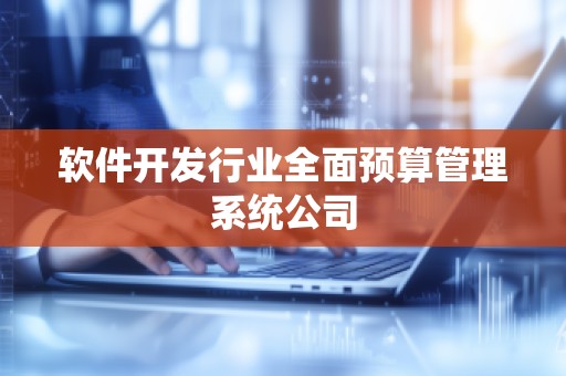软件开发行业全面预算管理系统公司