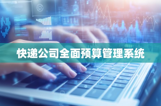 快递公司全面预算管理系统