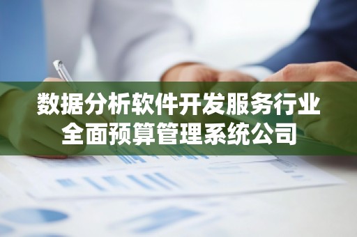 数据分析软件开发服务行业全面预算管理系统公司