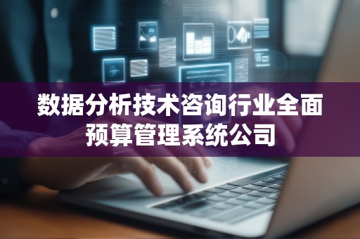 数据分析技术咨询行业全面预算管理系统公司