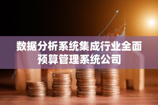数据分析系统集成行业全面预算管理系统公司