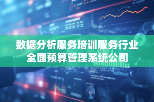 数据分析服务培训服务行业全面预算管理系统公司