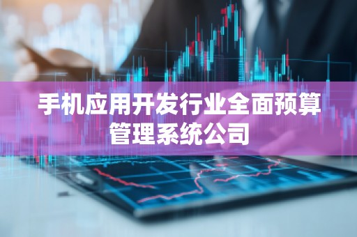 手机应用开发行业全面预算管理系统公司