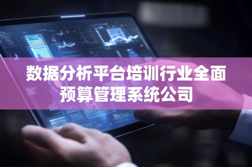 数据分析平台培训行业全面预算管理系统公司