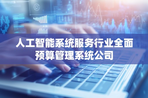 人工智能系统服务行业全面预算管理系统公司