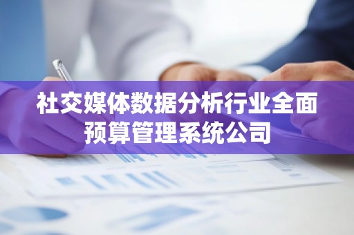 社交媒体数据分析行业全面预算管理系统公司