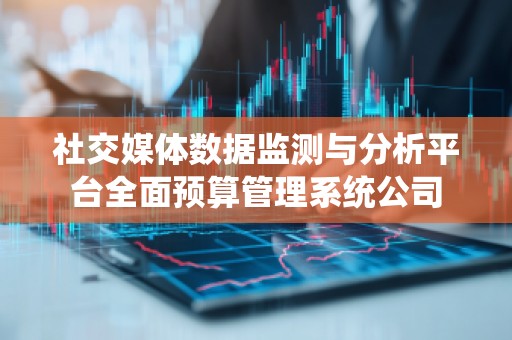 社交媒体数据监测与分析平台全面预算管理系统公司
