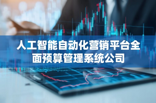 人工智能自动化营销平台全面预算管理系统公司