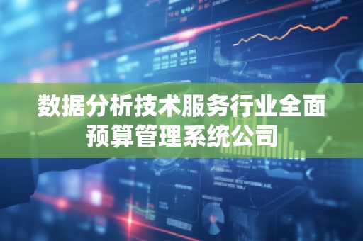 数据分析技术服务行业全面预算管理系统公司