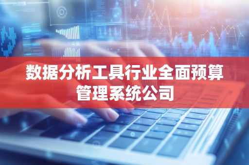 数据分析工具行业全面预算管理系统公司
