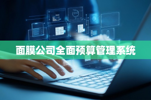 面膜公司全面预算管理系统