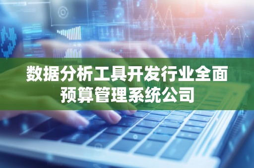 数据分析工具开发行业全面预算管理系统公司