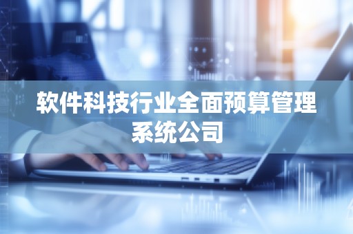 软件科技行业全面预算管理系统公司