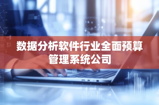 数据分析软件行业全面预算管理系统公司