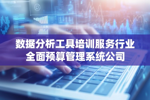 数据分析工具培训服务行业全面预算管理系统公司