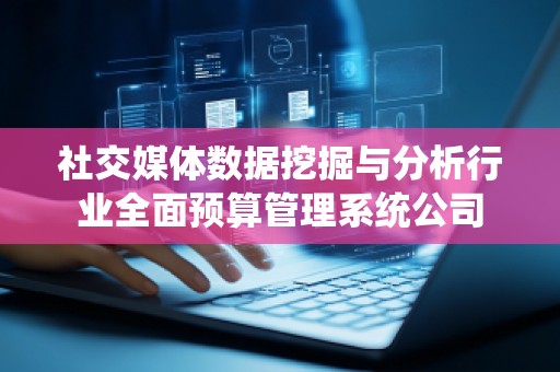 社交媒体数据挖掘与分析行业全面预算管理系统公司