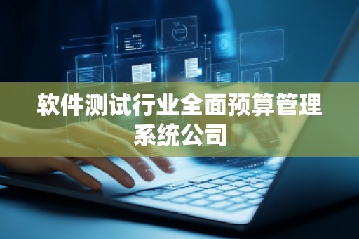 软件测试行业全面预算管理系统公司