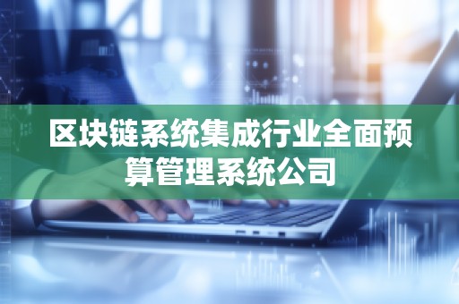 区块链系统集成行业全面预算管理系统公司
