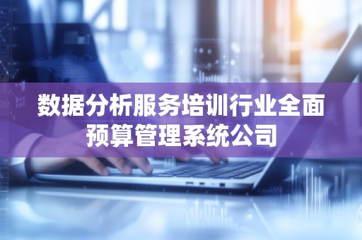 数据分析服务培训行业全面预算管理系统公司
