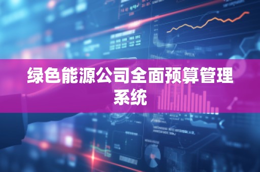 绿色能源公司全面预算管理系统