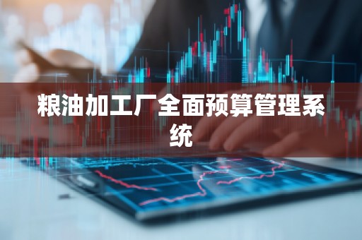 粮油加工厂全面预算管理系统