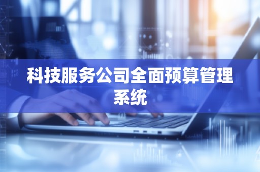 科技服务公司全面预算管理系统