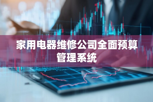 家用电器维修公司全面预算管理系统