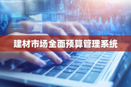 建材市场全面预算管理系统