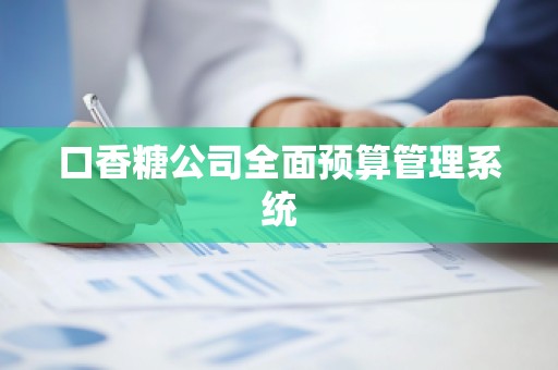 口香糖公司全面预算管理系统