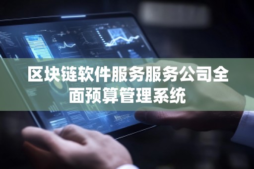 区块链软件服务服务公司全面预算管理系统