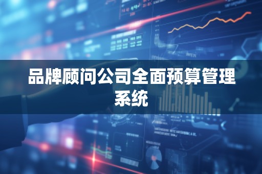 品牌顾问公司全面预算管理系统