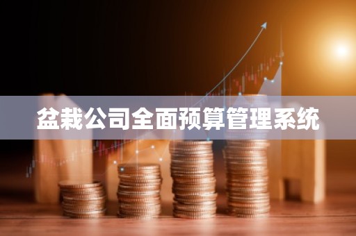 盆栽公司全面预算管理系统