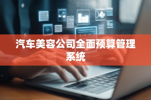 汽车美容公司全面预算管理系统