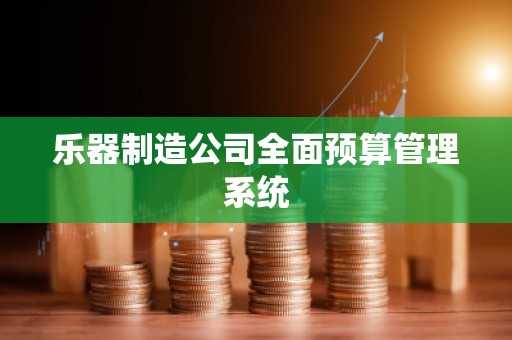 乐器制造公司全面预算管理系统
