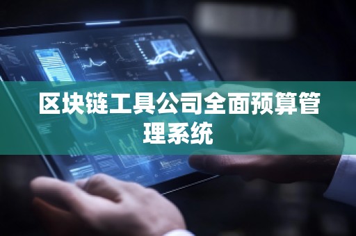 区块链工具公司全面预算管理系统