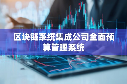 区块链系统集成公司全面预算管理系统