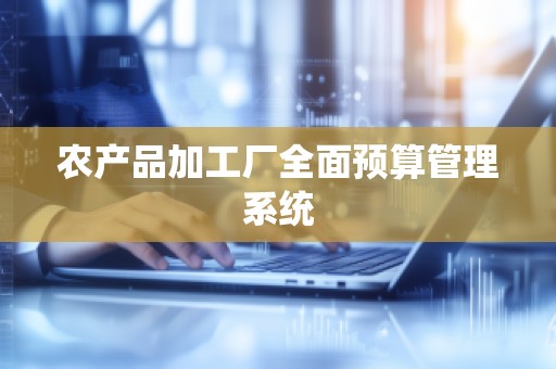 农产品加工厂全面预算管理系统