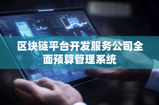 区块链平台开发服务公司全面预算管理系统
