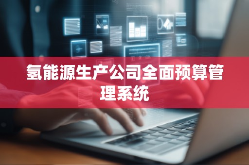 氢能源生产公司全面预算管理系统